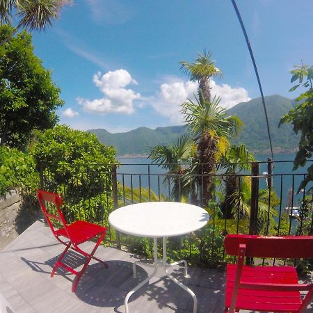 Apartment The Palm With Garden Sala Comacina Exterior foto