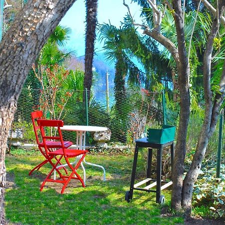 Apartment The Palm With Garden Sala Comacina Exterior foto